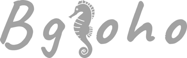 BgSoho.com