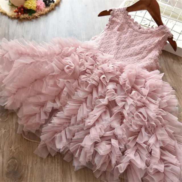Floral Embroidered Lace Princess Dress for Girls